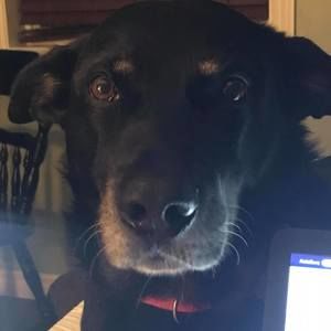 Meet your Posher, Tracey